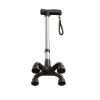 Picture of Quad-Base Cane
