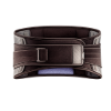 Picture of Lumbar Support Belt