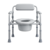 Picture of Commode Chair